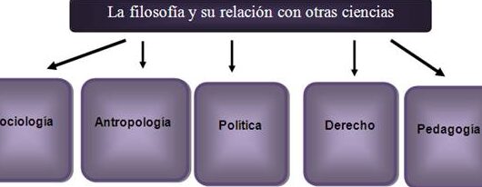 Las Ciencias Que Se Relacionan Con La Filosofia
