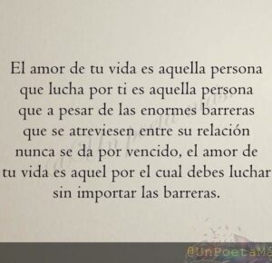 Lucha por el amor de tu vida