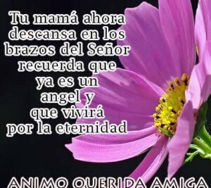 Palabras de consuelo para una amiga que perdió a su madre