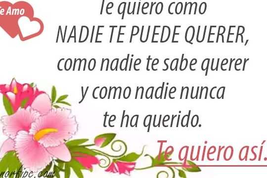 Te Quiero Como Nadie Te Ha Querido