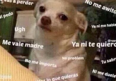 Mi novio está en línea y no me contesta.